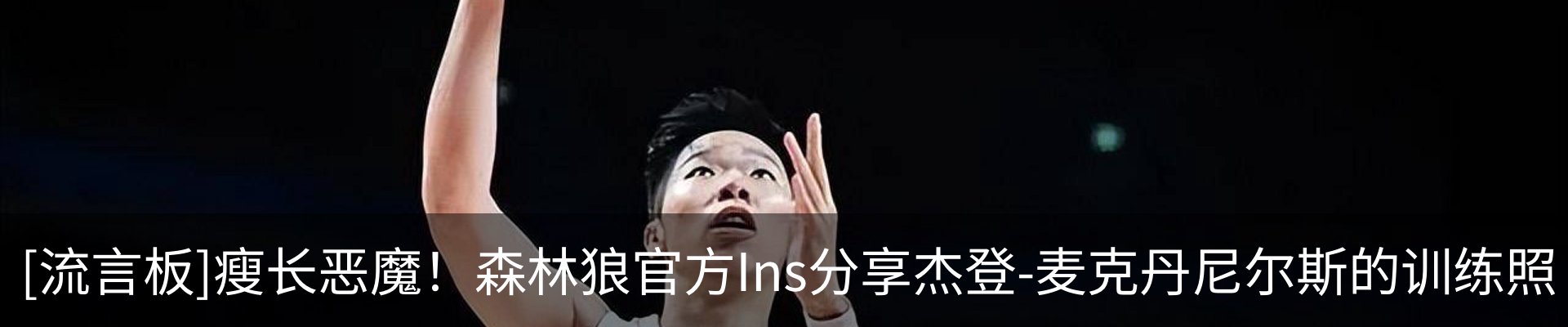 最新动态